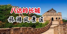 干逼逼网站中国北京-八达岭长城旅游风景区